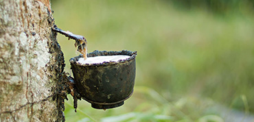 Zowel natuur als syntetische rubbersoorten worden gebruikt voor onze producten (NR, CR, EPDM, SBR etc.). Hierdoor kunnen wij het juiste materiaal gebruiken voor bijna elke toepassing.